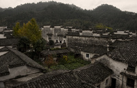 thumb__dsf6195_xga