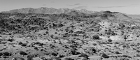 thumb_richtersveld_vista.1024